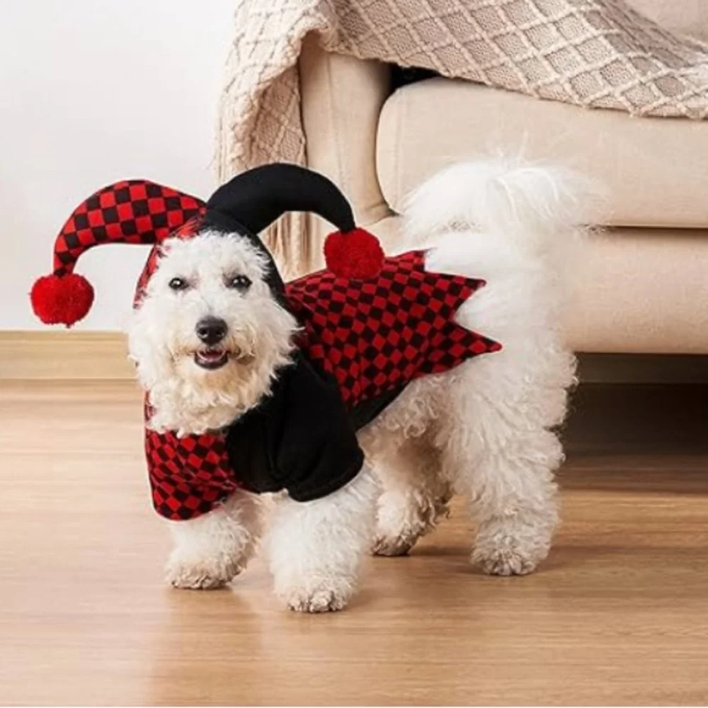 Red and Black Jester Dog Costume